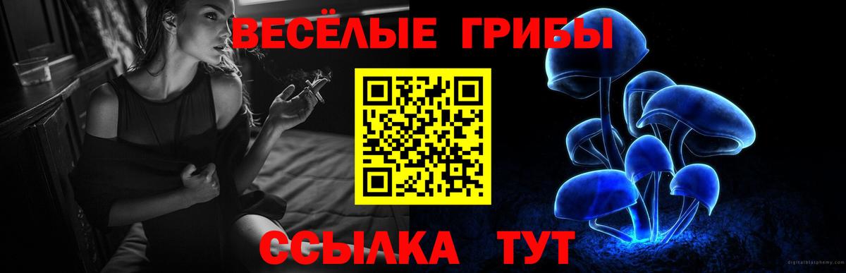 закладки  Галлюциногенные грибы Magic Shrooms  Арсеньев  Вход с VPN  Галлюциногенные грибы Cubensis 
